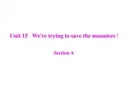 九年级英语We’re-trying-to-save-the-manatees课件1(新201907)