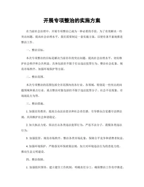 开展专项整治的实施方案