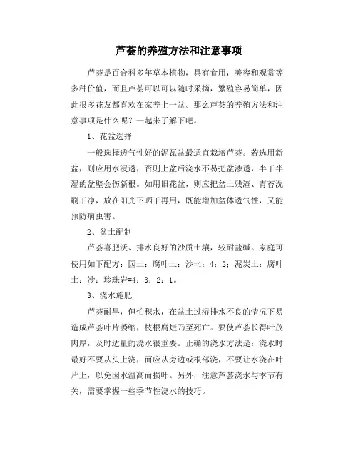 芦荟的养殖方法和注意事项