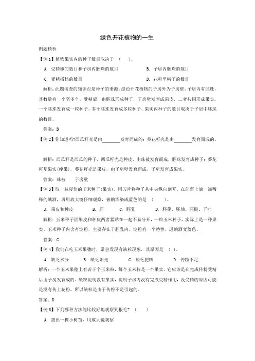 绿色开花植物的一生