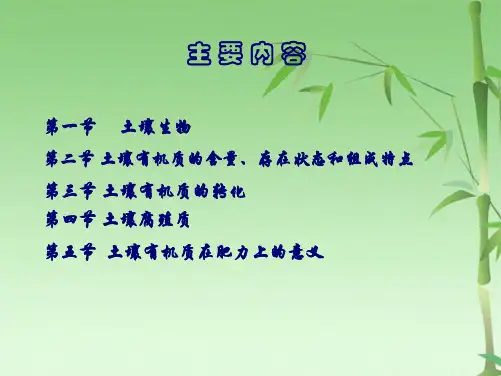 【2024版】土壤生物与土壤有机质(共66张PPT)
