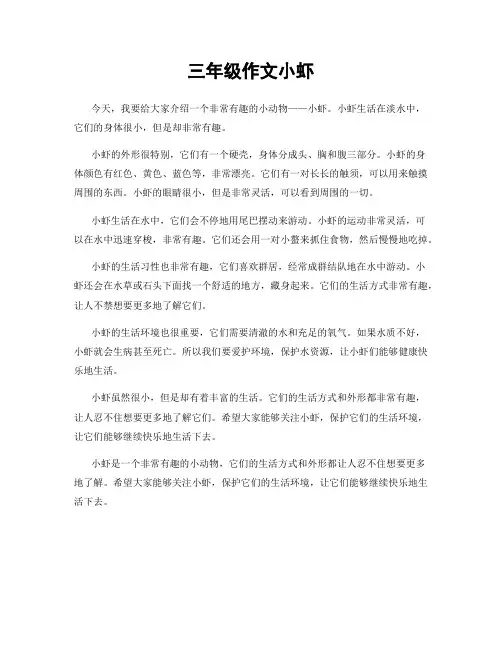 三年级作文小虾