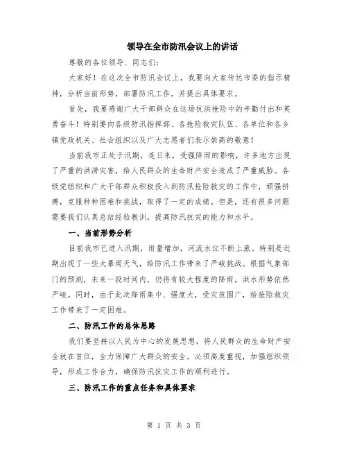 领导在全市防汛会议上的讲话