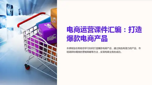 电商运营课件汇编：打造爆款电商产品