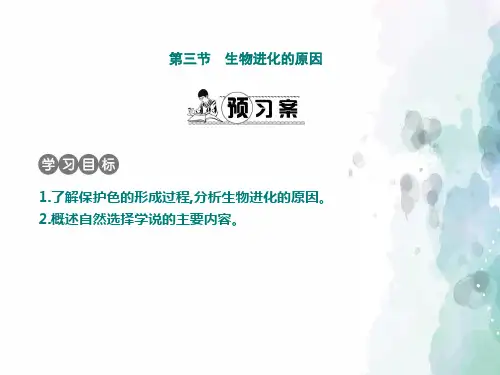 鲁科版-生物-八年级下册-生物进化的原因 鲁科版学案课件