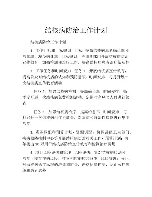结核病防治工作计划