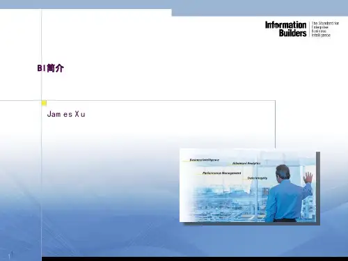 BI商业智能介绍ppt课件