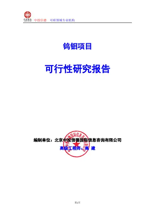 钨钼项目可行性研究报告编写格式及参考(模板word)