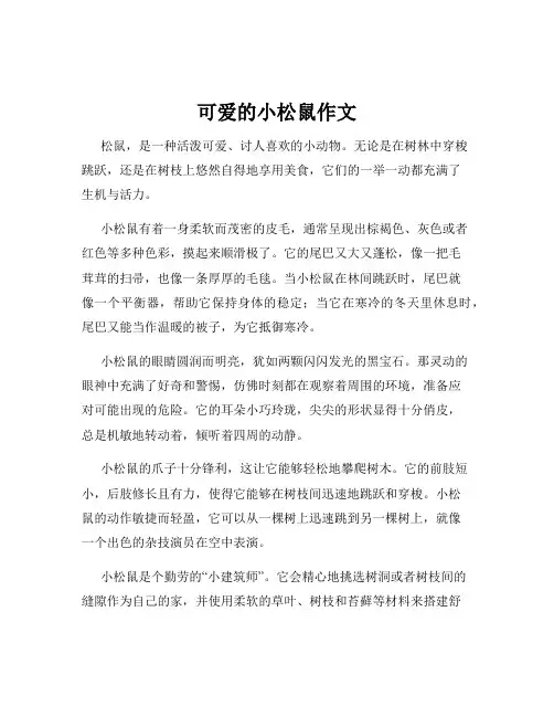 可爱的小松鼠作文