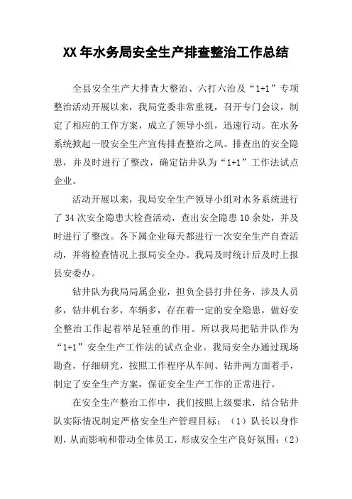 XX年水务局安全生产排查整治工作总结