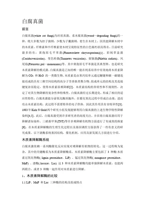白腐真菌