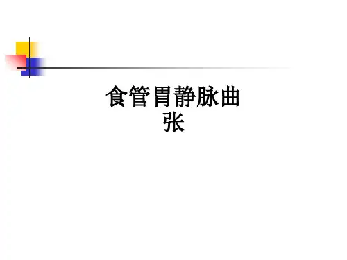 食管胃静脉曲张ppt课件