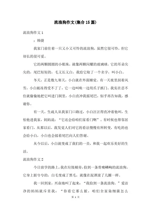 流浪狗作文(集合15篇)