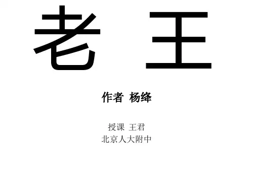 王君《老王》最新