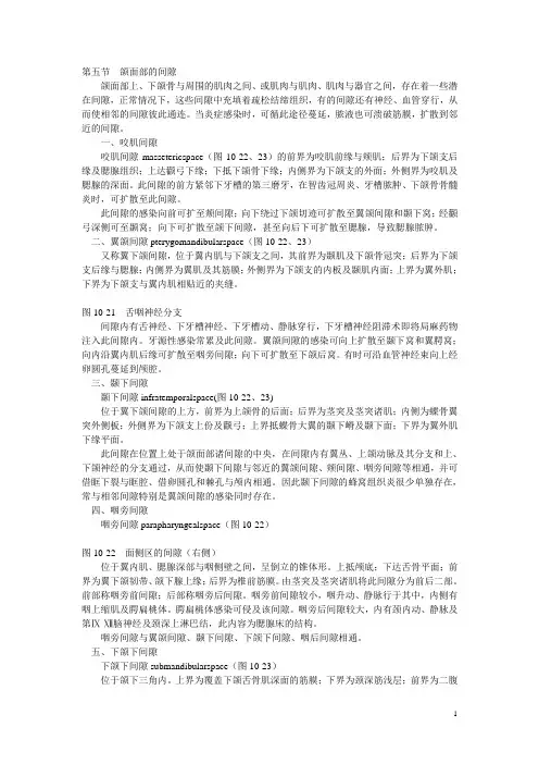 头面部解剖-颌面部间隙