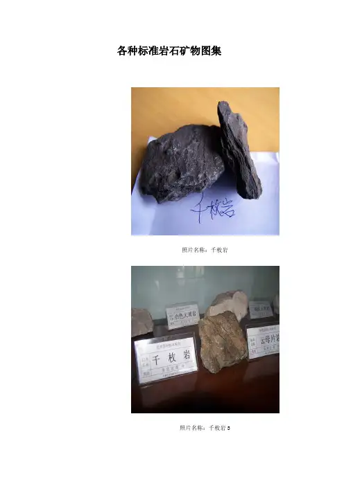 地质学基本岩石岩性图片