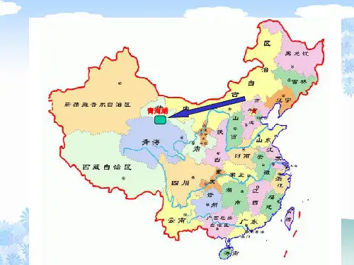 北京课改版四年级语文上册《15神奇的鸟岛》课件