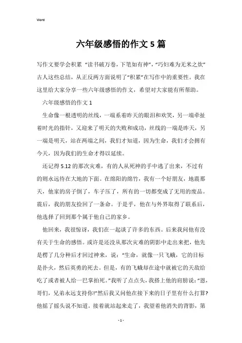 六年级感悟的作文5篇