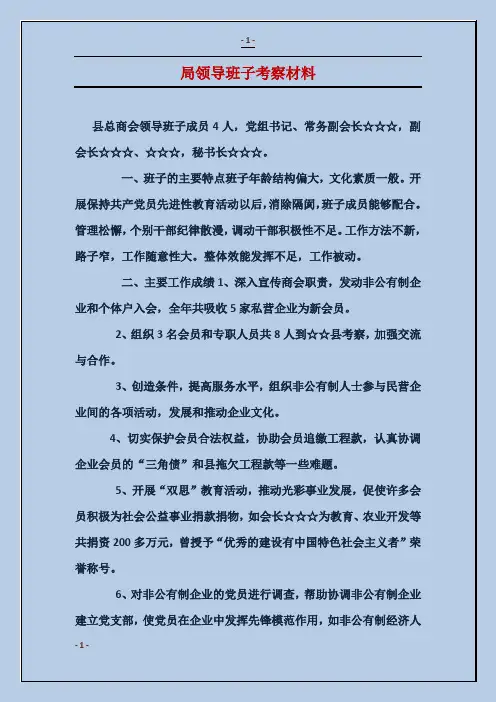 局领导班子考察材料