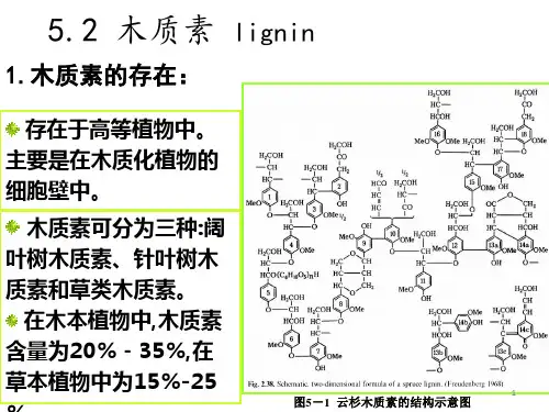 木质素ppt课件