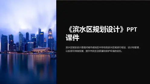 《滨水区规划设计》课件