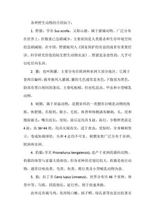 各种野生动物的介绍