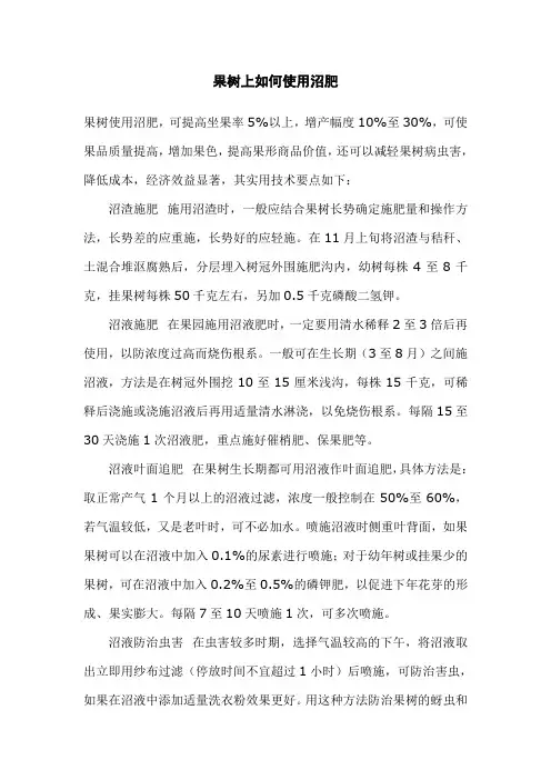 果树上如何使用沼肥