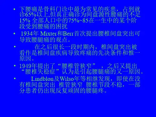 椎间盘源性下腰痛