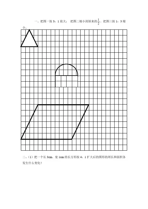 北师大版数学六下2.4《图形的放大与缩小》练习