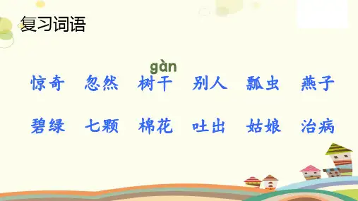 《棉花姑娘》完整版课件