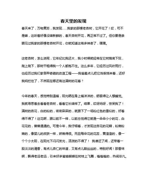 作文《春天里的发现》
