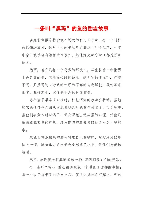 一条叫“黑玛”的鱼的励志故事