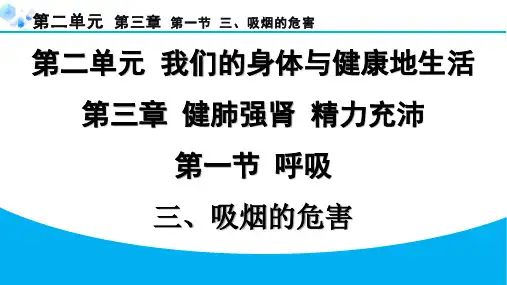 七年级下册生物冀少版【习题】3.第一节  呼吸3