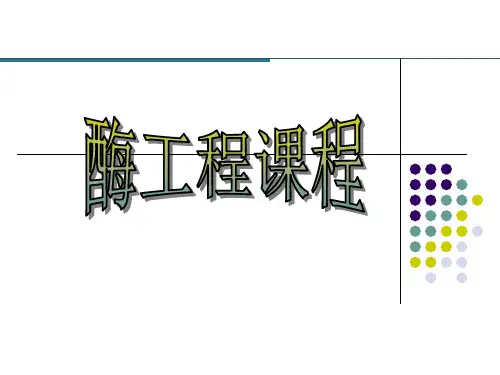 酶工程说精品PPT课件