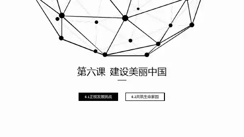 九年级道德与法治上册：第六课第一框正视发展挑战(39张PPT)