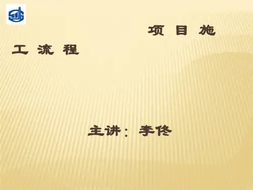 项目施工流程
