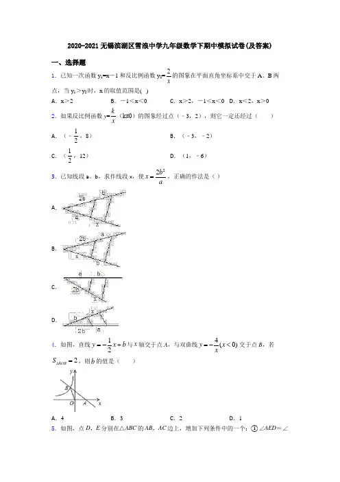 2020-2021无锡滨湖区雪浪中学九年级数学下期中模拟试卷(及答案)