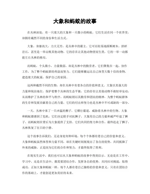 大象和蚂蚁的故事