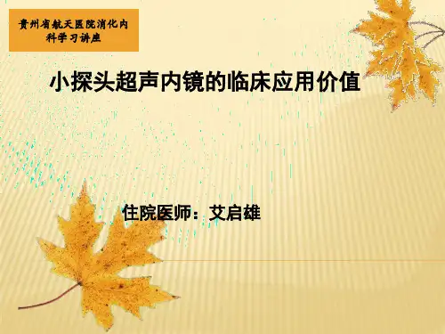 超声内镜课件