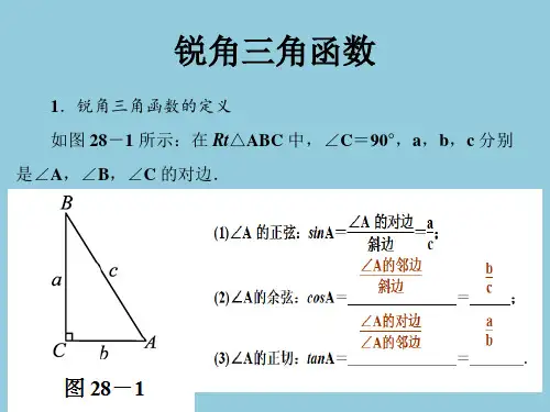 锐角三角函数总复习ppt课件.pptx