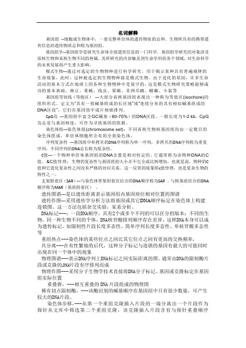 名词解释