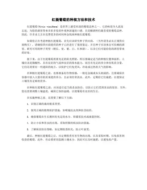 红提葡萄的种植方法和技术