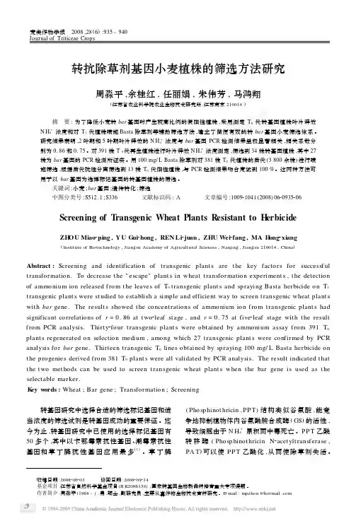 转抗除草剂基因小麦植株的筛选方法研究-麦类作物学报