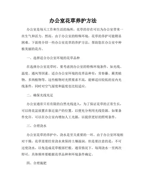 办公室花草养护方法