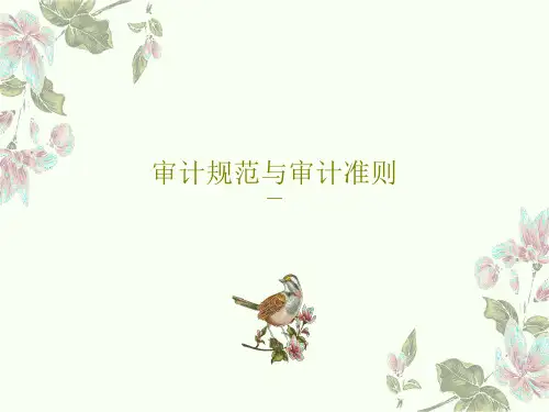 审计规范与审计准则52页PPT