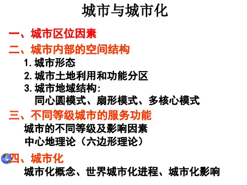 2019高考地理复习—城市专题(城市与城市化)(共71张PPT)