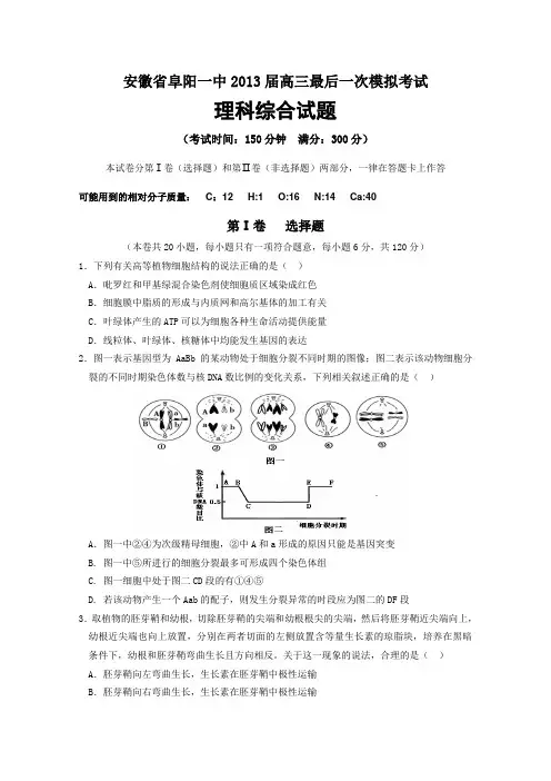 安徽省阜阳一中2013届高三最后一次模拟考试理综试题
