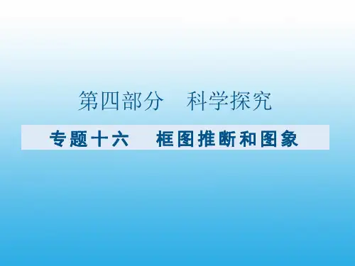 【课件】九年级化学复习专题十六：框图推断和图像