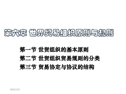 第六章世界贸易组织原则与规则-PPT精选