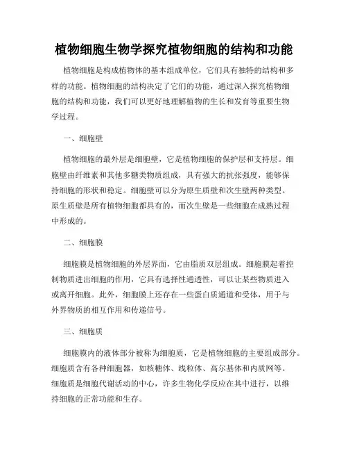 植物细胞生物学探究植物细胞的结构和功能